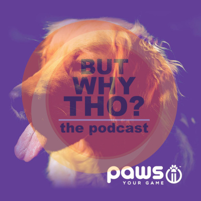 But Why Tho? The Podcast