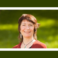 SPARKS Author Interview - Crossing Bridges with Susan Greif