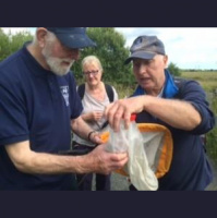 BFM Local News Headlines