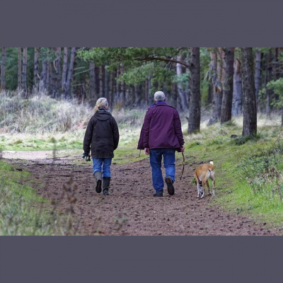 105.9 Bishop Fms Posts