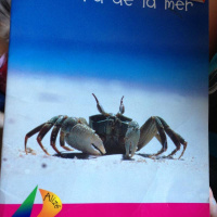 Au bord de la mer, Maude