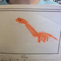 Le diplodocus - Zachary