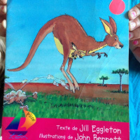 Le bébé kangourou, par Leyla