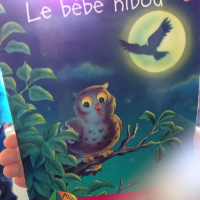 La bébé hibou