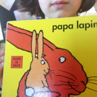 Papa Lapin