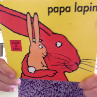 Papa Lapin