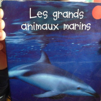 Les grands animaux marins - Antoine C.