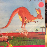 Le bébé kangourou, par Félix S.