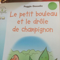 Le petit bouleau