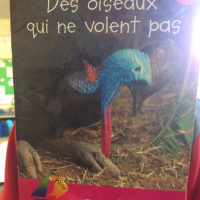 Classe De Brigittes Posts