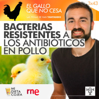 Bacterias resistentes a los antibióticos en pollo | El gallo que no cesa 3x43