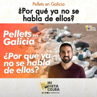 ¿Qué ha pasado con los pellets que ya no se habla nada de ellos?