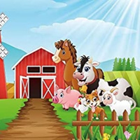 El Misterio de la Granja SOLUCION