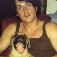 Pedacitos de Historia - Stallone un cuento de Superación (SIN SALUDITOS)