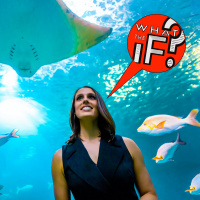 Welcome Back, ANIMALS! With Biologist Vanessa Pirotta