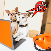 No Opposable Thumbs?