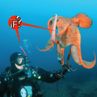 26 - Dance For Us, Human! DANCE!