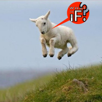 16 - DO NOT TOUCH THE GRAVITY DIAL