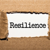 SH Lakeland EM Podcast Ep. 10 - Dr. Vukorpa and Resilience