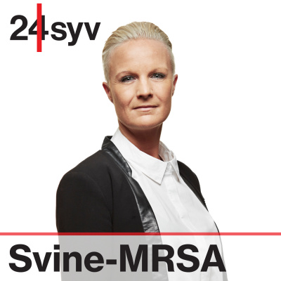 Svine-mrsa Radio24syv