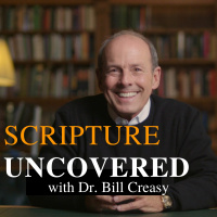 Episode 5 - How to Read the Bible