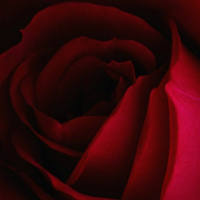 Carly Morgan Gross  Sexy Self Care