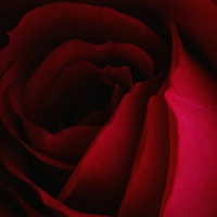 SEW Podcast Ix-Chel Sandivel  Sacred Sexuality