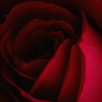 Episode 01: Maisha Hudson  Sensual Energy Alchemy