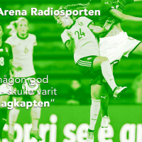 Vad händer med benskydden?