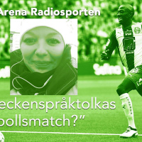 ”Hur teckenspråktolkas en fotbollsmatch?”