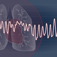 U21-landslagets kritiserade träningsmetoder