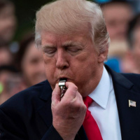 Det politiska spelet bakom VM-ansökan