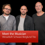 Wesseltoft Schwarz Berglund Trio: Meet The Musician