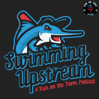 Comfortable with Special Guest Dane Myers | Swimming Upstream