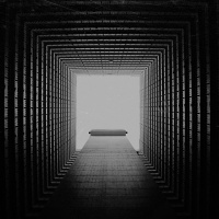 Orangestripe - 5 A.M.