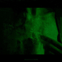 Orangestripe - Morphine