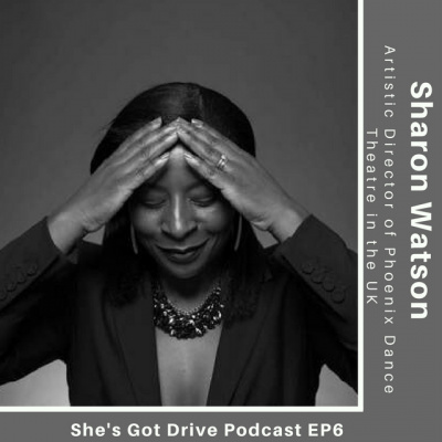 Shes Got Drive: Black Women Talk About Success And How They Achieved It.