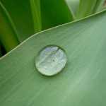 Aromaterapia - Reconexão Pelo Aroma