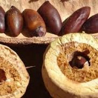 Dia 70/365 - OV de Baru