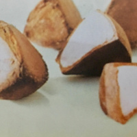 Dia 73/365 -OV Andiroba