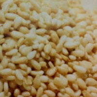 Dia 63/365 - OV de Gergelim