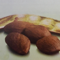 Dia 57/365 - OV de Pracaxi