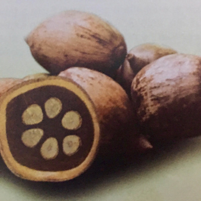 Aromaterapia - Reconexão Pelo Aroma