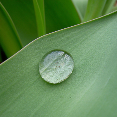 Aromaterapia - Reconexão Pelo Aroma