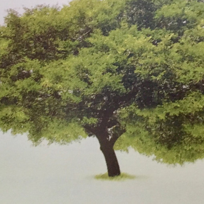 Aromaterapia - Reconexão Pelo Aroma