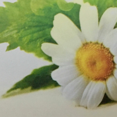 Aromaterapia - Reconexão Pelo Aroma