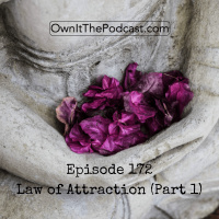 Own It! 172 | Law of Attraction (Part 1)