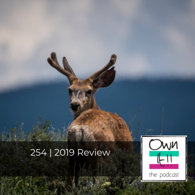 Own It! For Entrepreneurs. Talking Digital Marketing, Small Business, Being Digital Nomads And Success Thinking