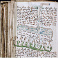 El manuscrito Voynich