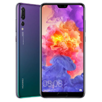 These two disgusting Chinese